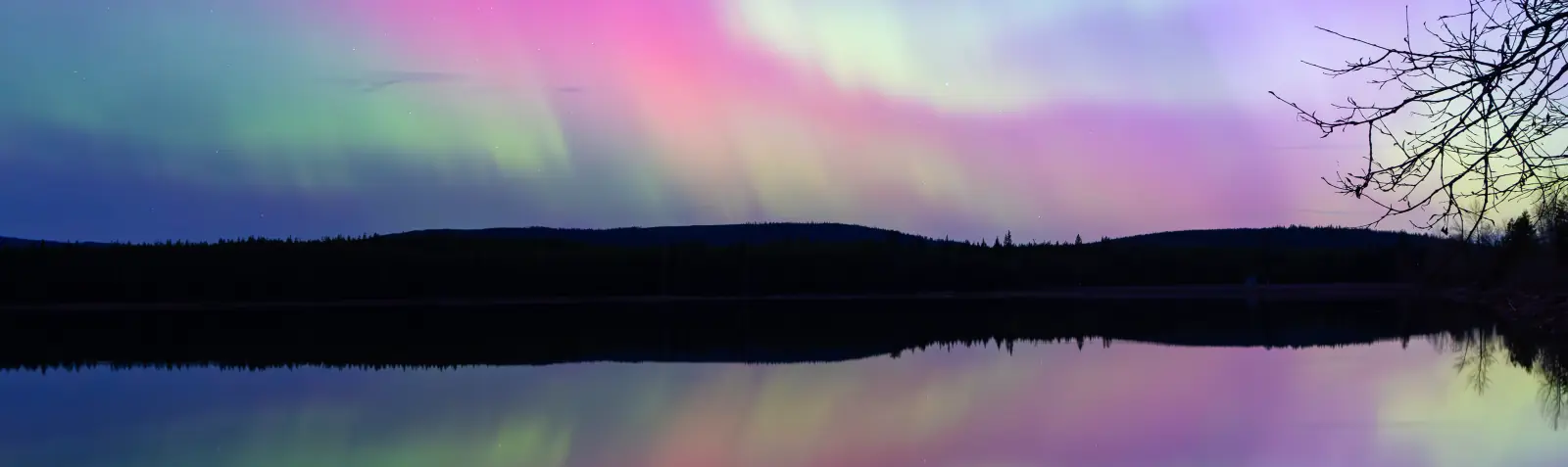 The auroral oval low over a forested ridge, its green and magenta bands doubled in the still lake below