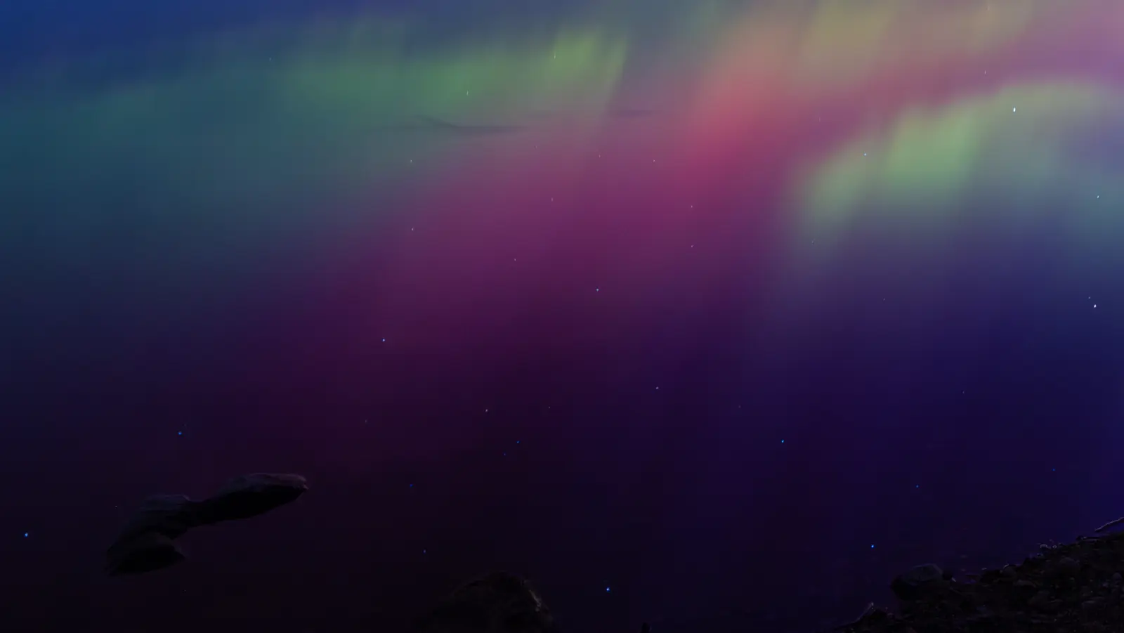 The aurora held on the surface of a still lake, green and magenta over near-black water
